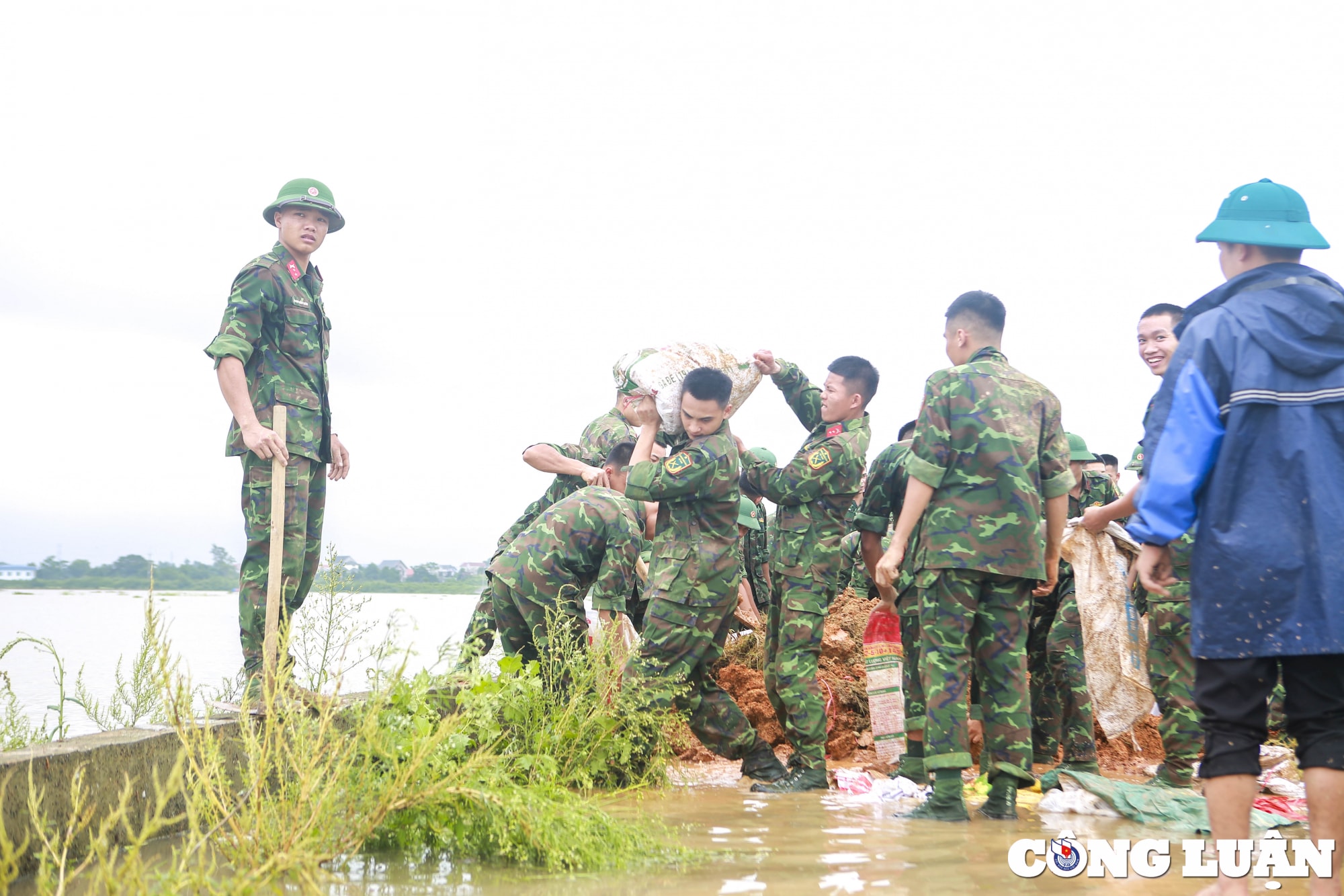 ha noi quan doi cung nhan dan chung tay chong lu bao ve lua xuan hinh 4