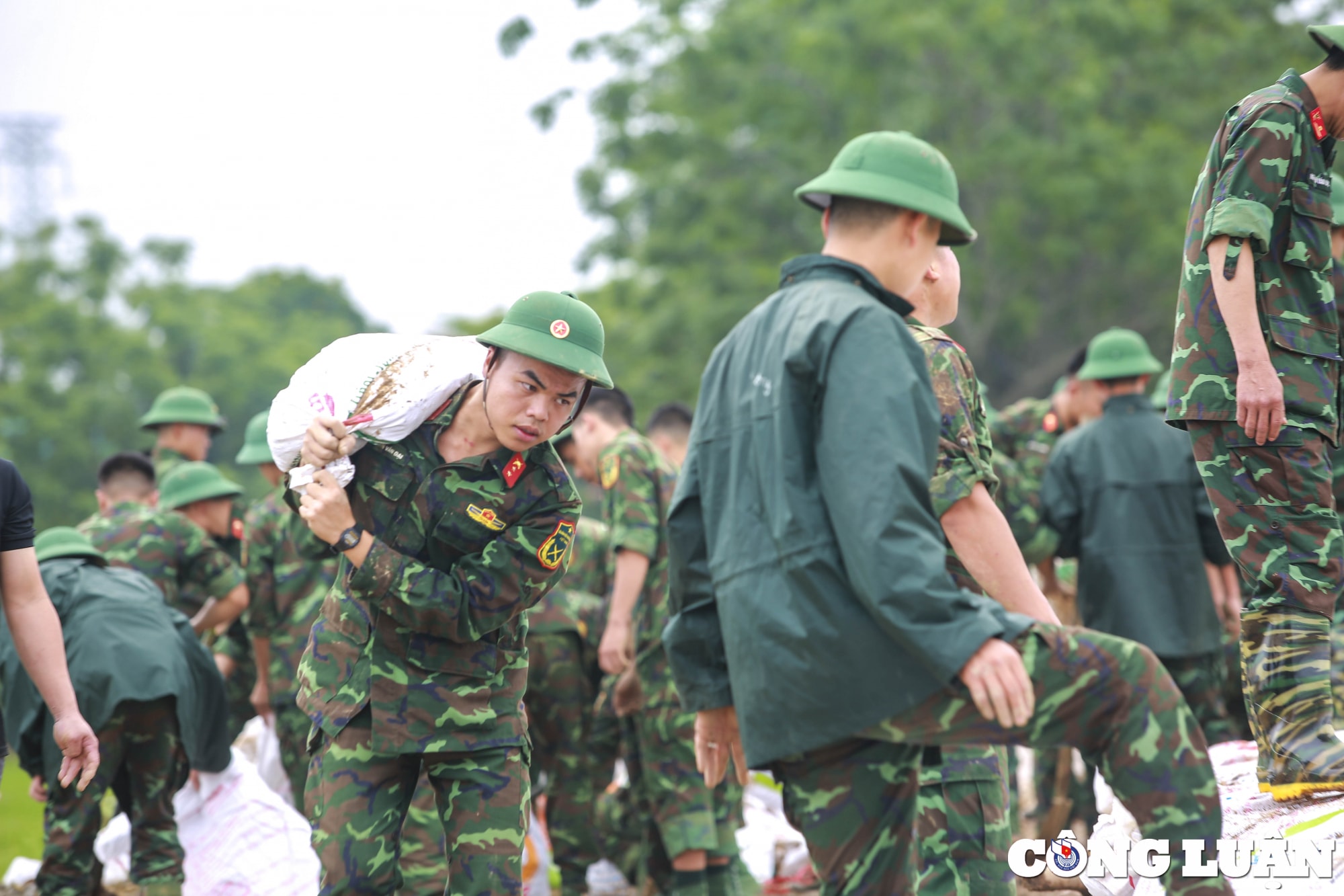 ha noi quan doi cung nhan dan chung tay chong lu bao ve lua xuan hinh 5