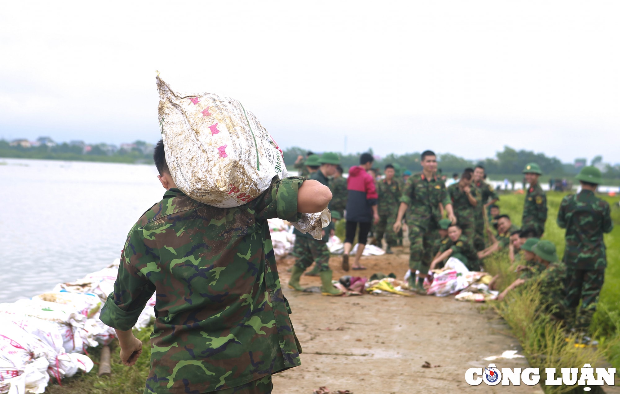 ha noi quan doi cung nhan dan chung tay chong lu bao ve lua xuan hinh 1