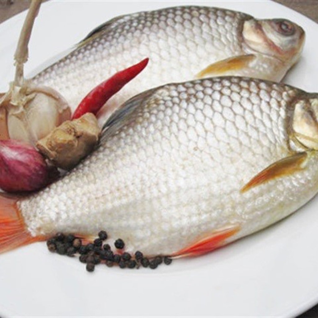nhung mon an bai thuoc hay tu ca diec hinh 2