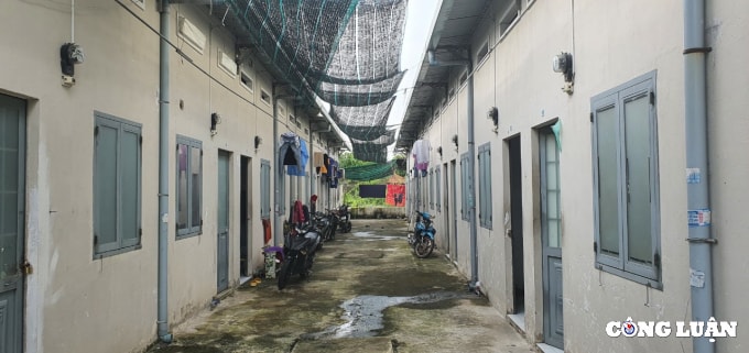 xang tang vuot moc 30000 dong lit dan lo khong tien do vi luong cu mai i ach hinh 3