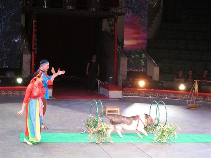 vo xiec chua te rung xanh giao duc y thuc bao ve rung cho thieu nhi hinh 4