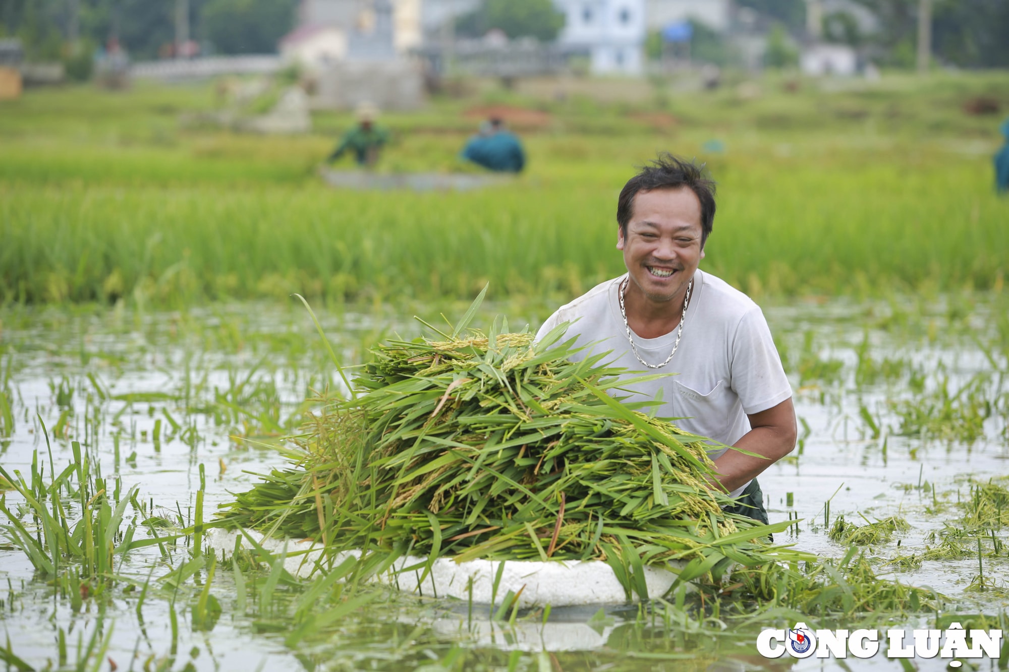 ha noi dan quan tu ve gat lua giup dan chay lu hinh 5