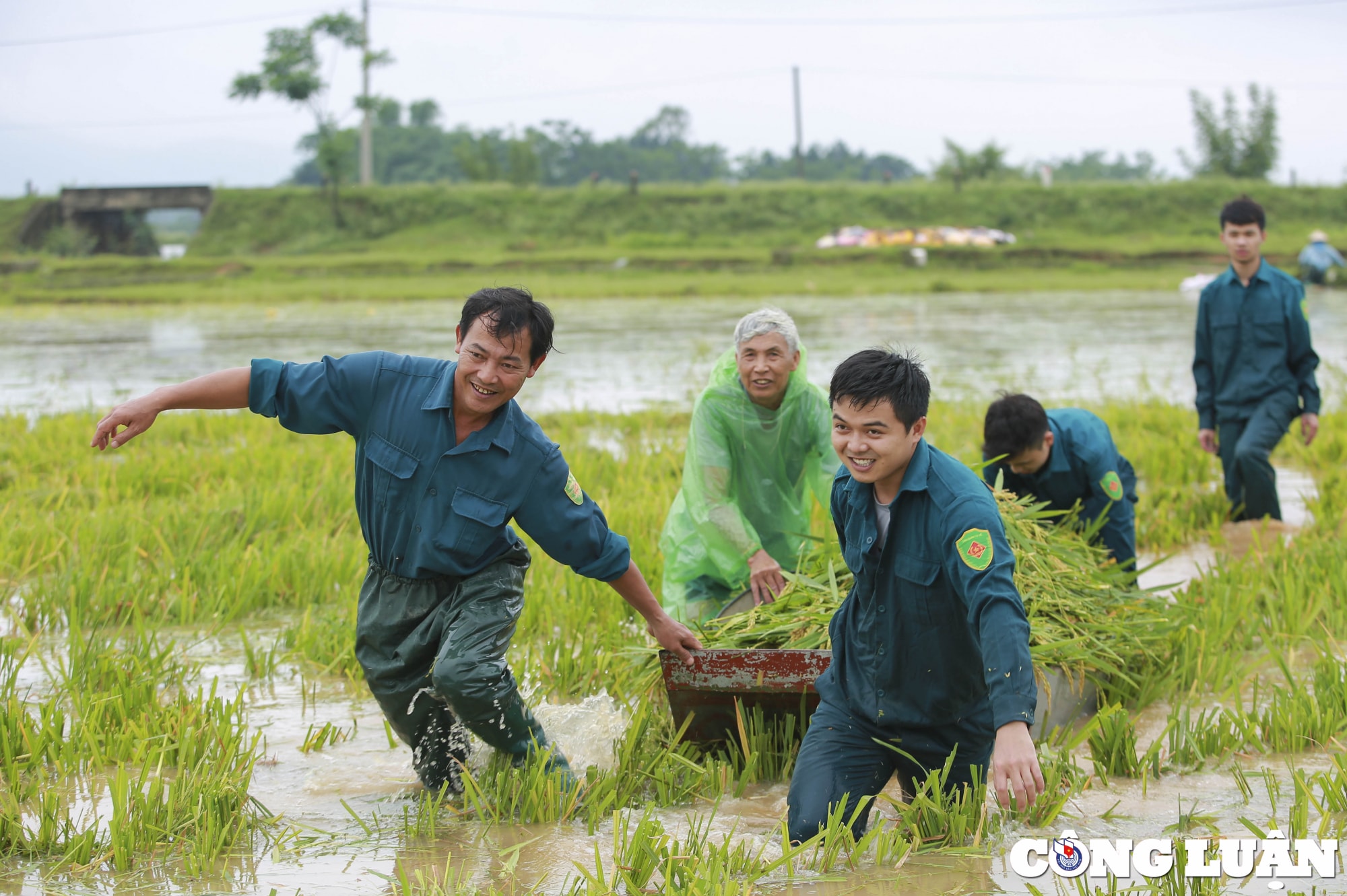 ha noi dan quan tu ve gat lua giup dan chay lu hinh 10