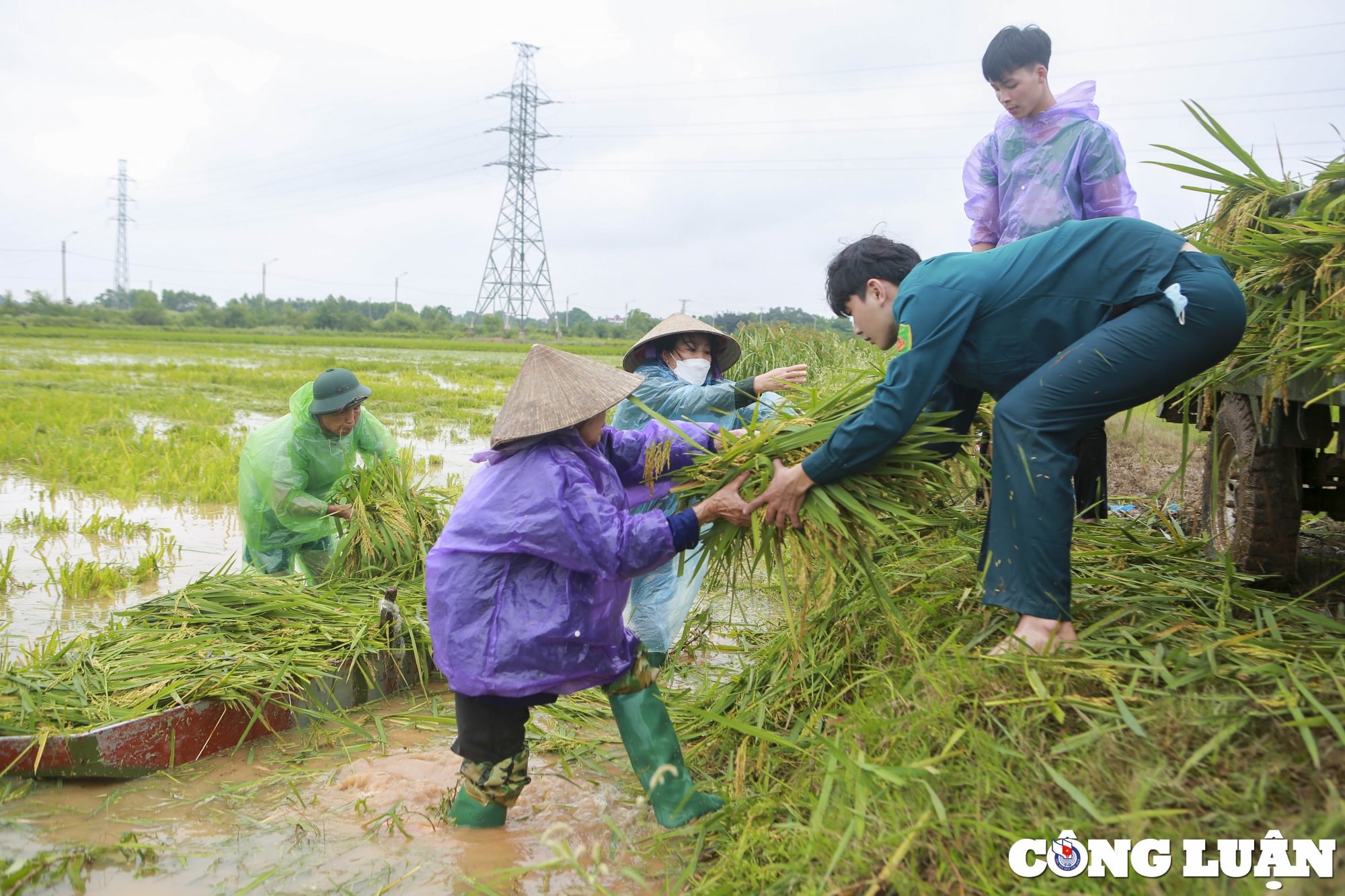 ha noi dan quan tu ve gat lua giup dan chay lu hinh 12