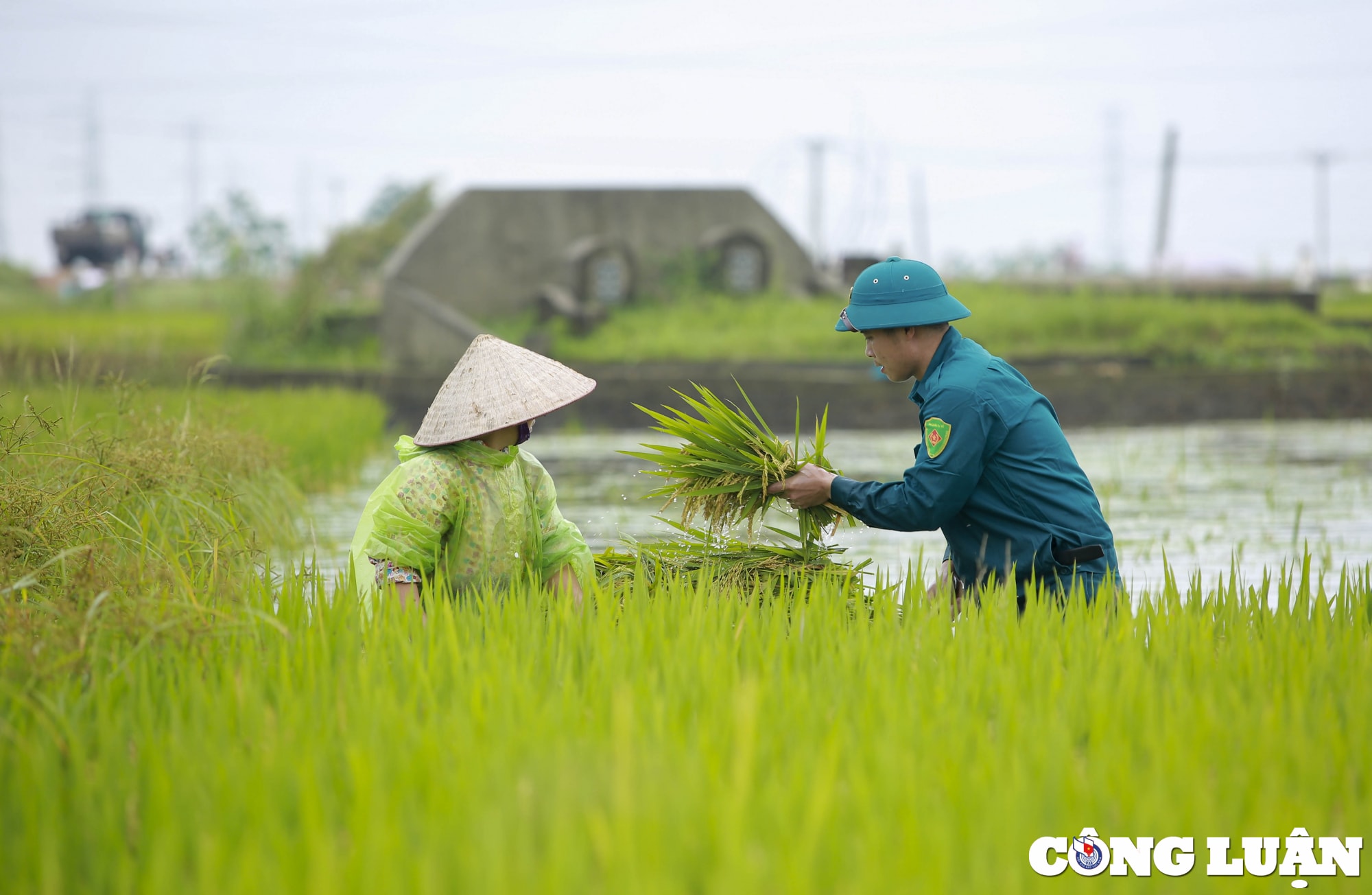 ha noi dan quan tu ve gat lua giup dan chay lu hinh 6