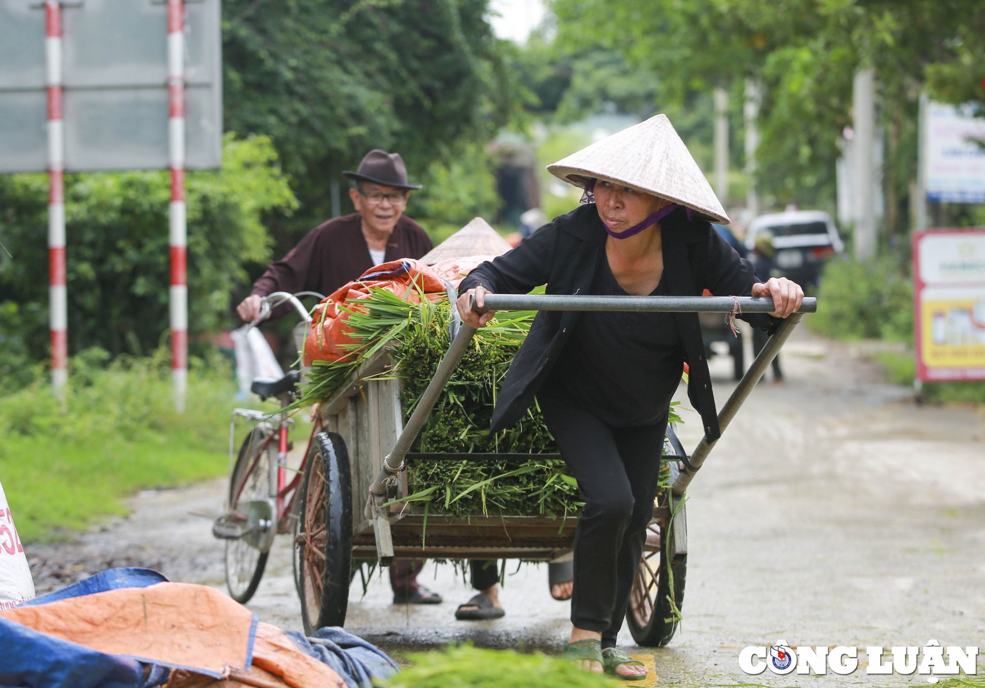ha noi dan quan tu ve gat lua giup dan chay lu hinh 13