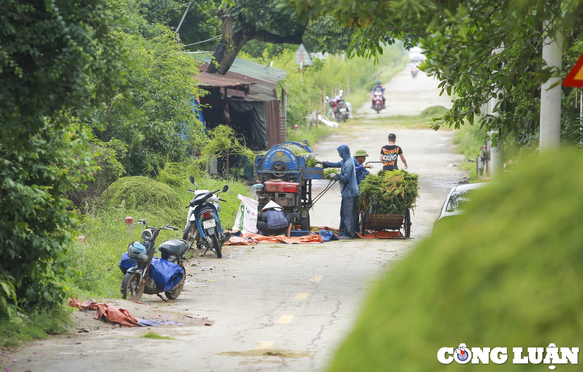 ha noi dan quan tu ve gat lua giup dan chay lu hinh 14