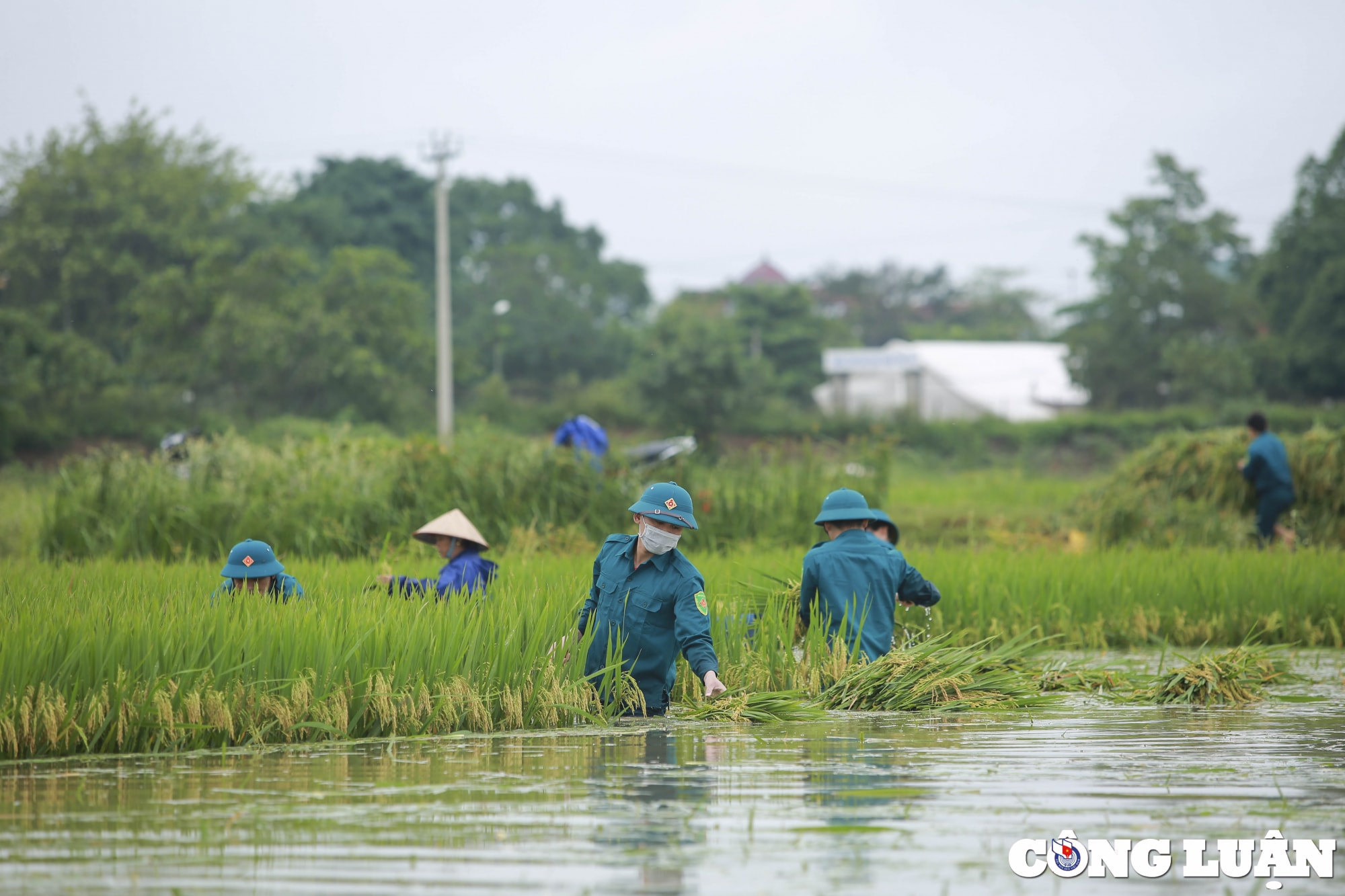 ha noi dan quan tu ve gat lua giup dan chay lu hinh 3