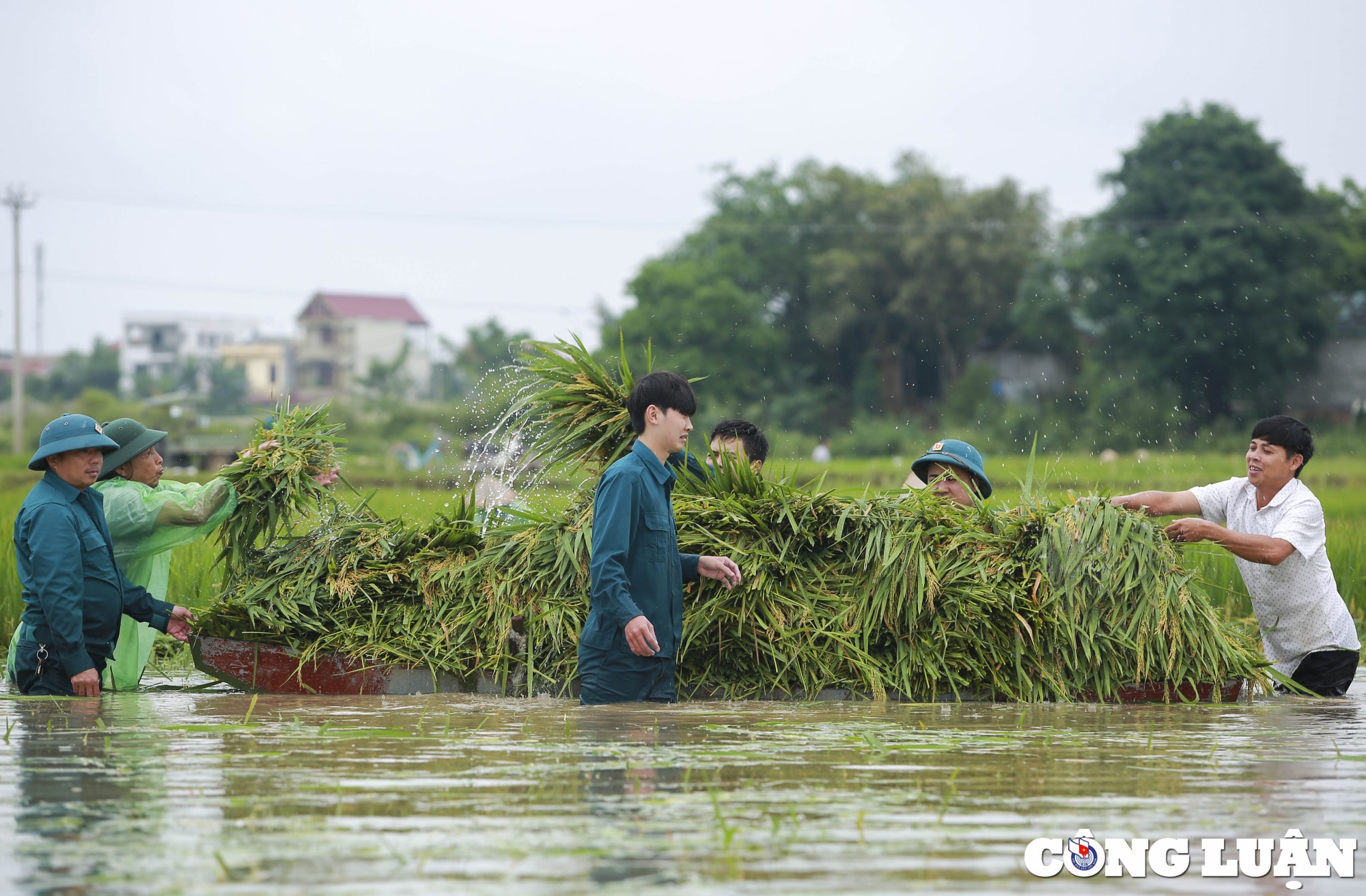 ha noi dan quan tu ve gat lua giup dan chay lu hinh 8