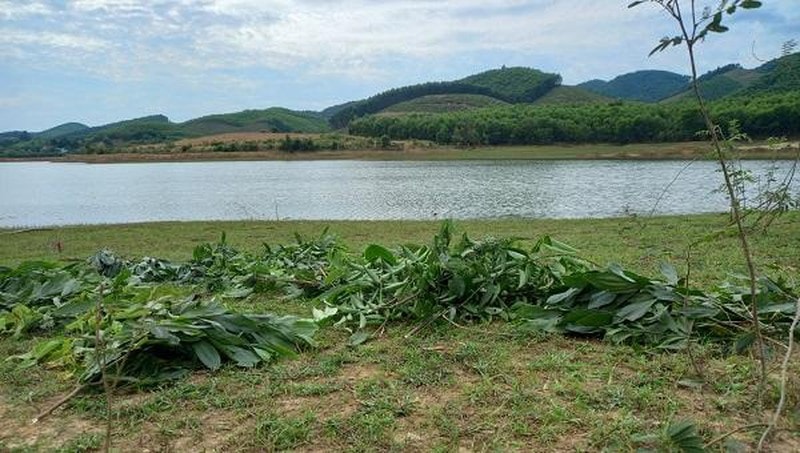 hai anh em ruot duoi nuoc tu vong khi di tha luoi trong dem hinh 1