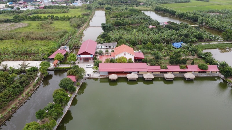 hai phong hang loat cong trinh khung trai phep moc tren dat nong truong quy cao hinh 1