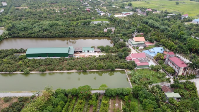 cuong che cong trinh vi pham xu li can bo lien quan vu xay trai phep tren dat nong truong quy cao hinh 2