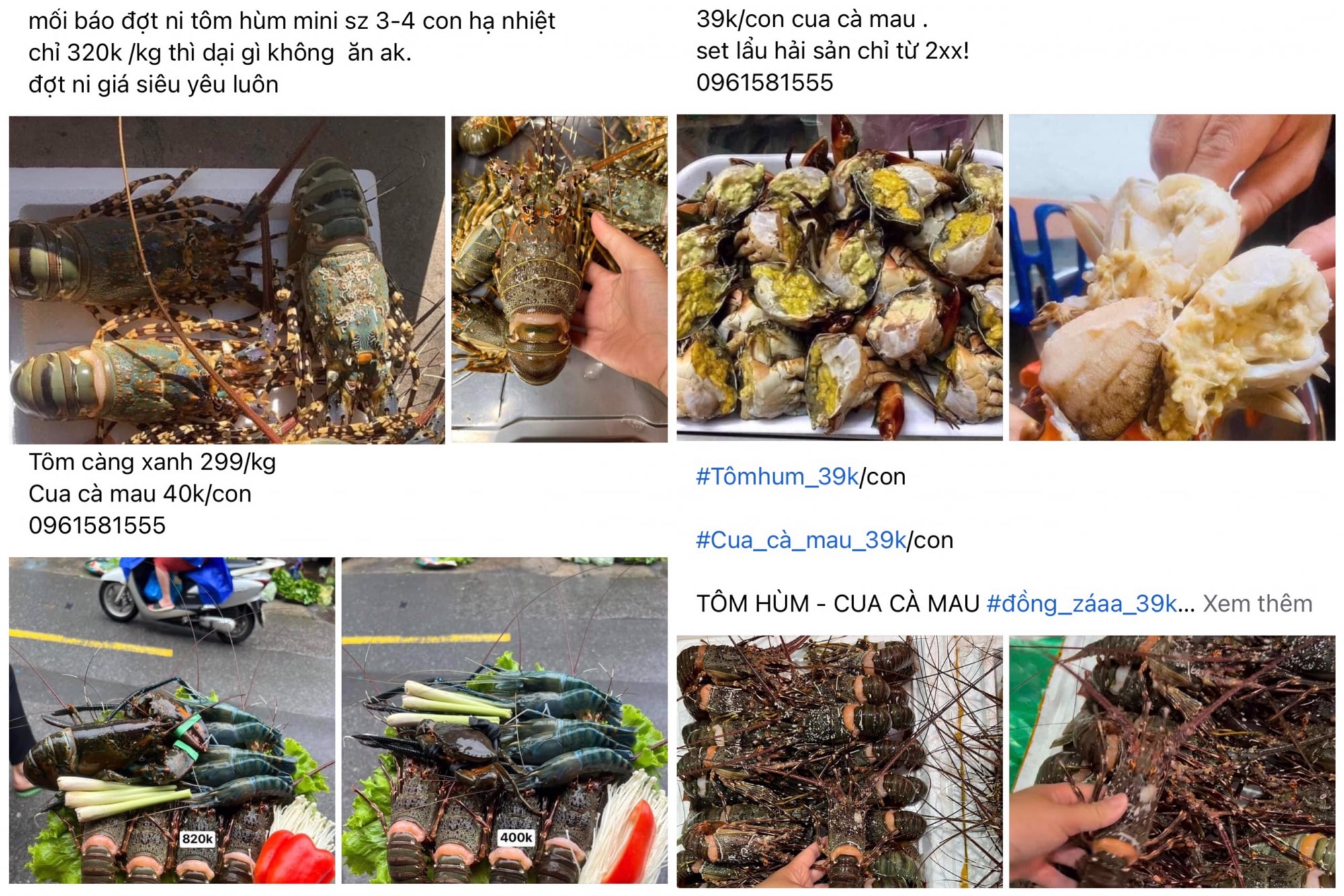 tom hum mini cua ca mau 39000 dong con hut khach ha noi hinh 1