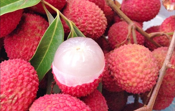 nhung luu y can biet khi an vai hinh 1