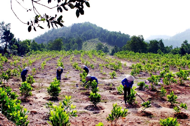 san luong nong lam nghiep va thuy san 5 thang dau nam tang truong nhe hinh 2