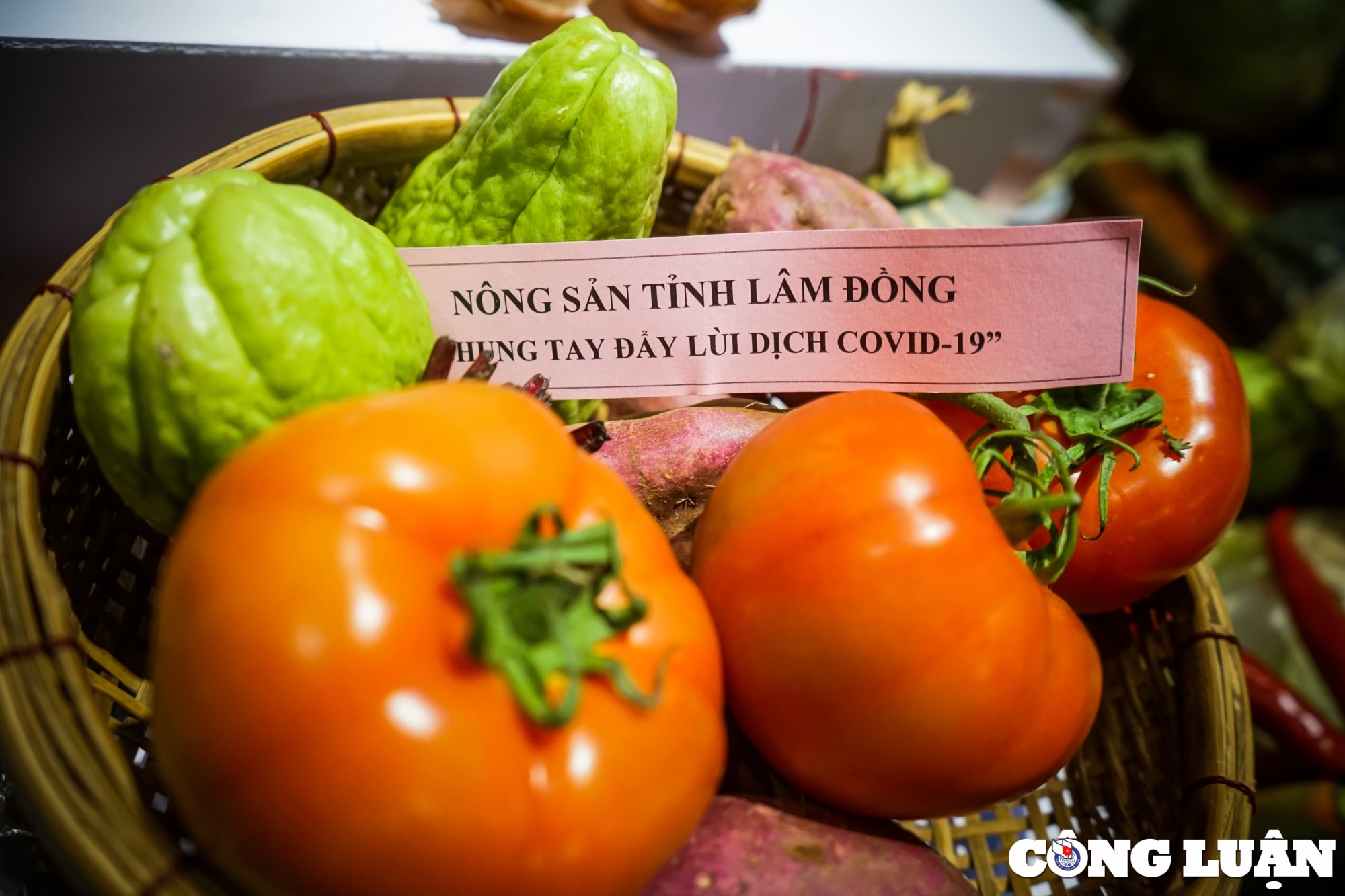 xuc dong voi hinh anh chong dich duoc tai hien du day tai quan ca phe o tp hcm hinh 12