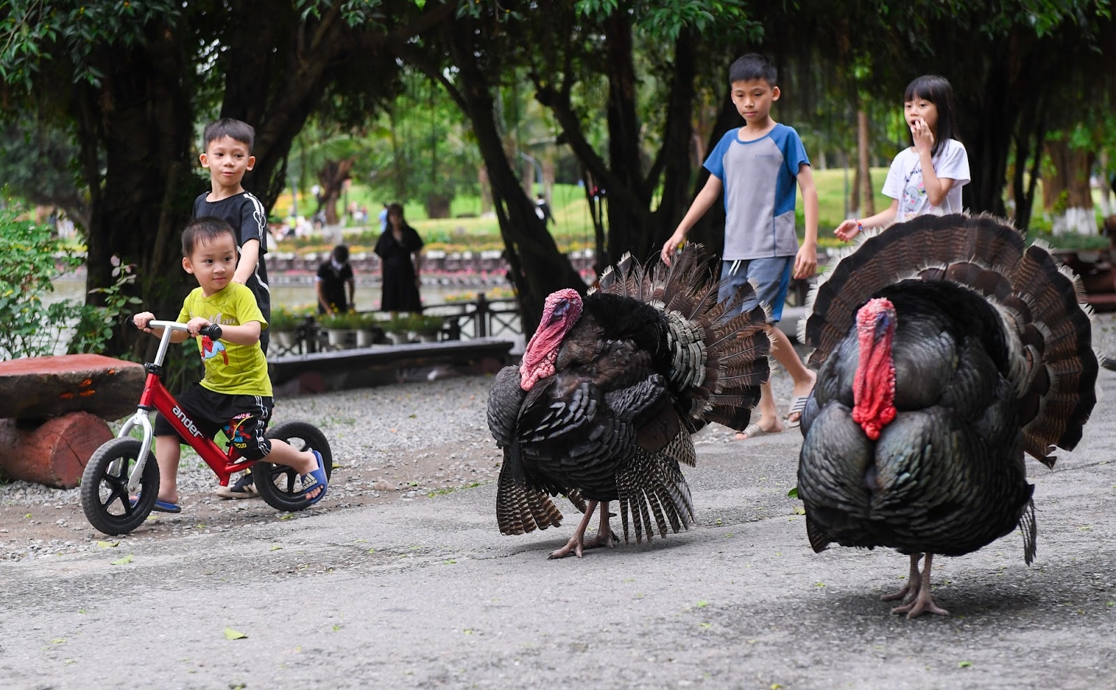 tre em pho thi vui tet thieu nhi trong do thi trieu cay xanh hinh 5