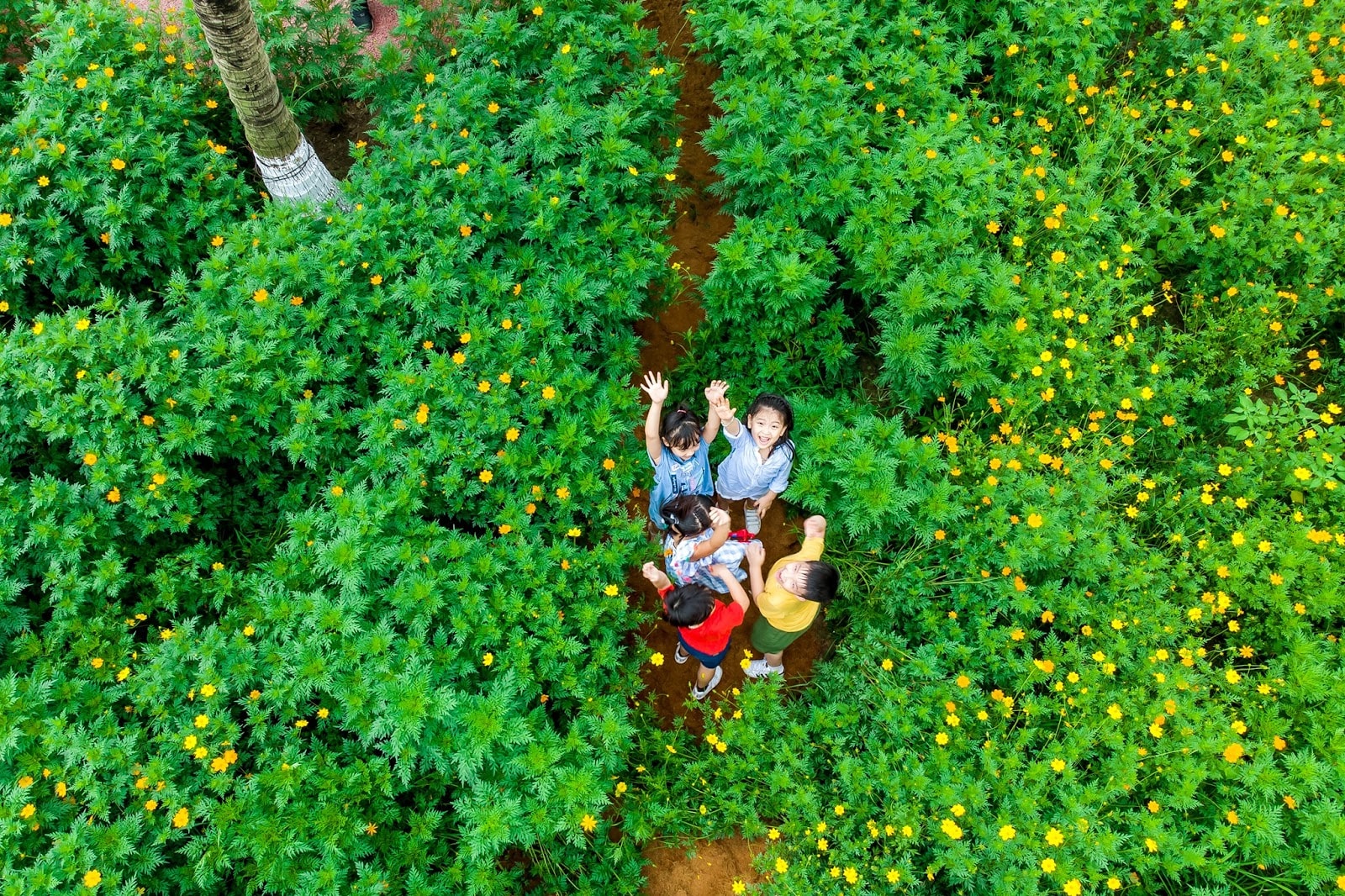 tre em pho thi vui tet thieu nhi trong do thi trieu cay xanh hinh 9