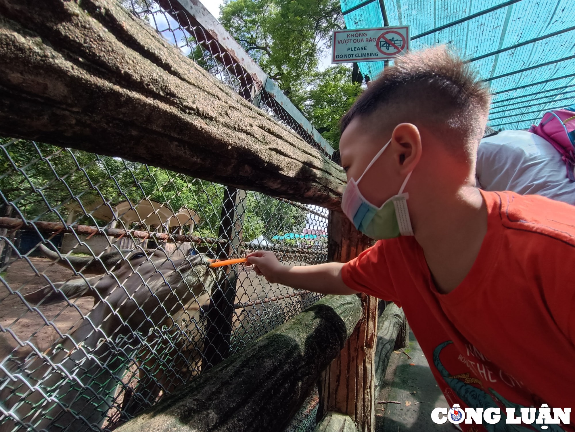 thao cam vien dong duc tre em trong ngay quoc te thieu nhi hinh 7