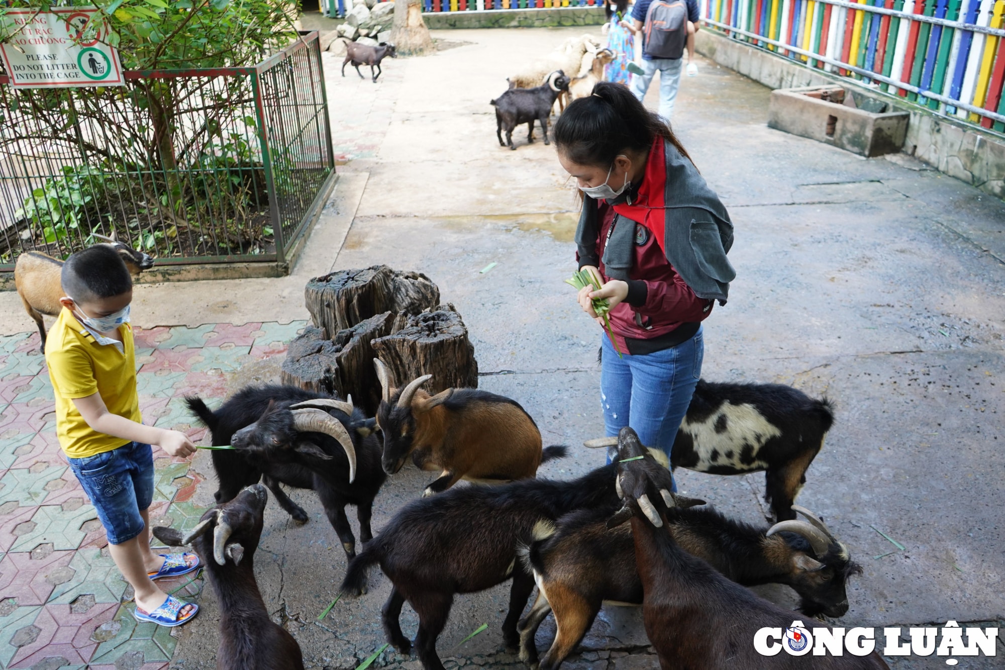 thao cam vien dong duc tre em trong ngay quoc te thieu nhi hinh 3