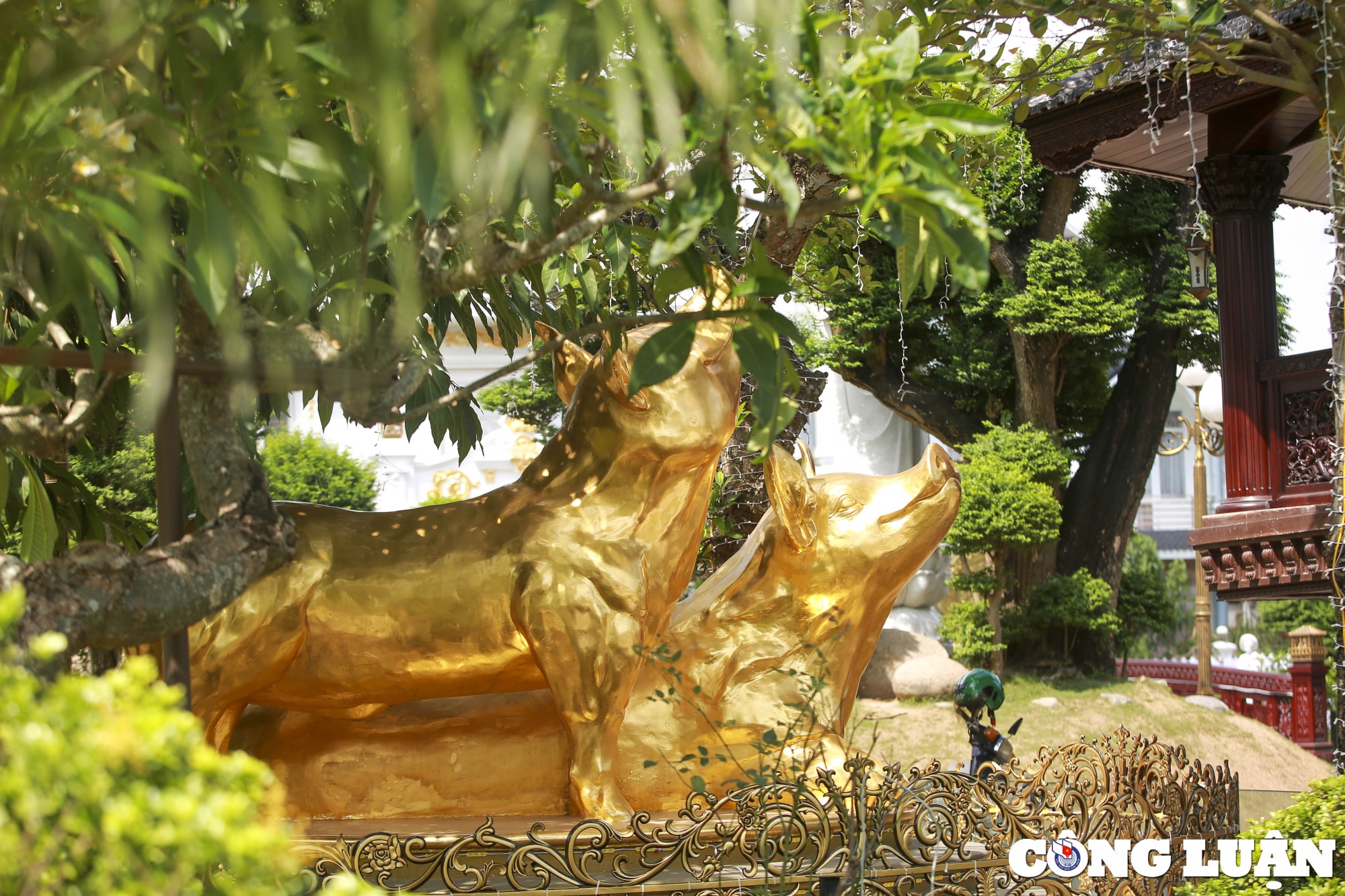 can canh cong vien cua dai gia buon lon co truc thang du thuyen tuong dat vang hinh 9