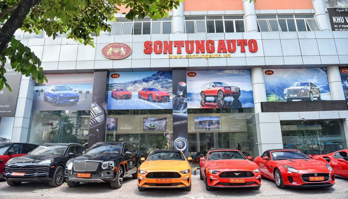 he sinh thai bao tin la ong hoang trong lang vang lieu co lien quan den son tung auto hinh 1