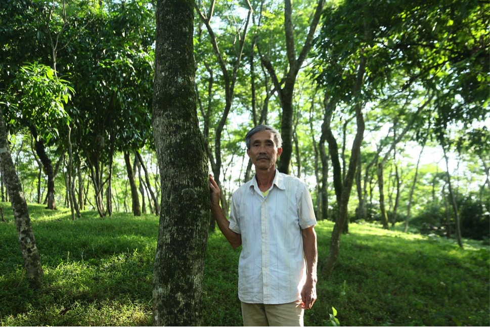 thu phu trong hang nghin cay sua do giup nguoi dan lam giau hinh 2