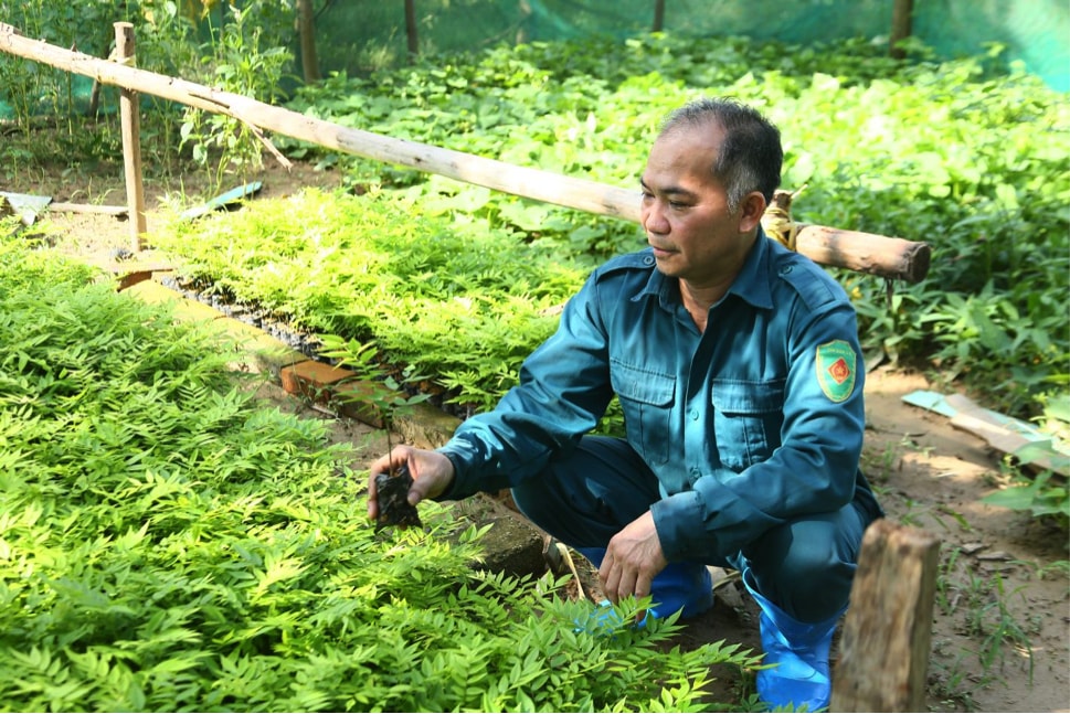 thu phu trong hang nghin cay sua do giup nguoi dan lam giau hinh 3