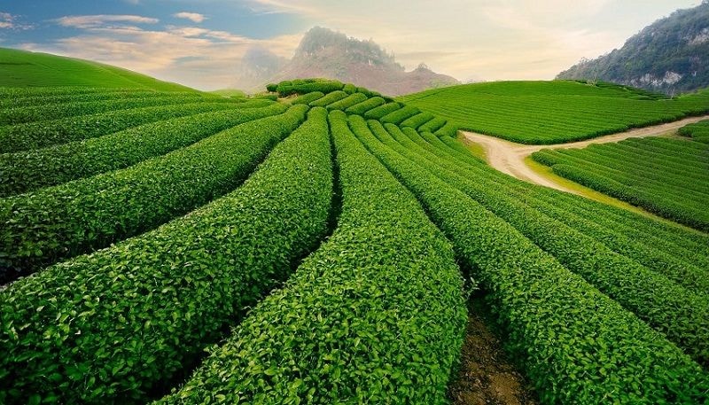 viet nam duoc de cu cho 61 hang muc cua giai thuong world travel awards 2022 hinh 5