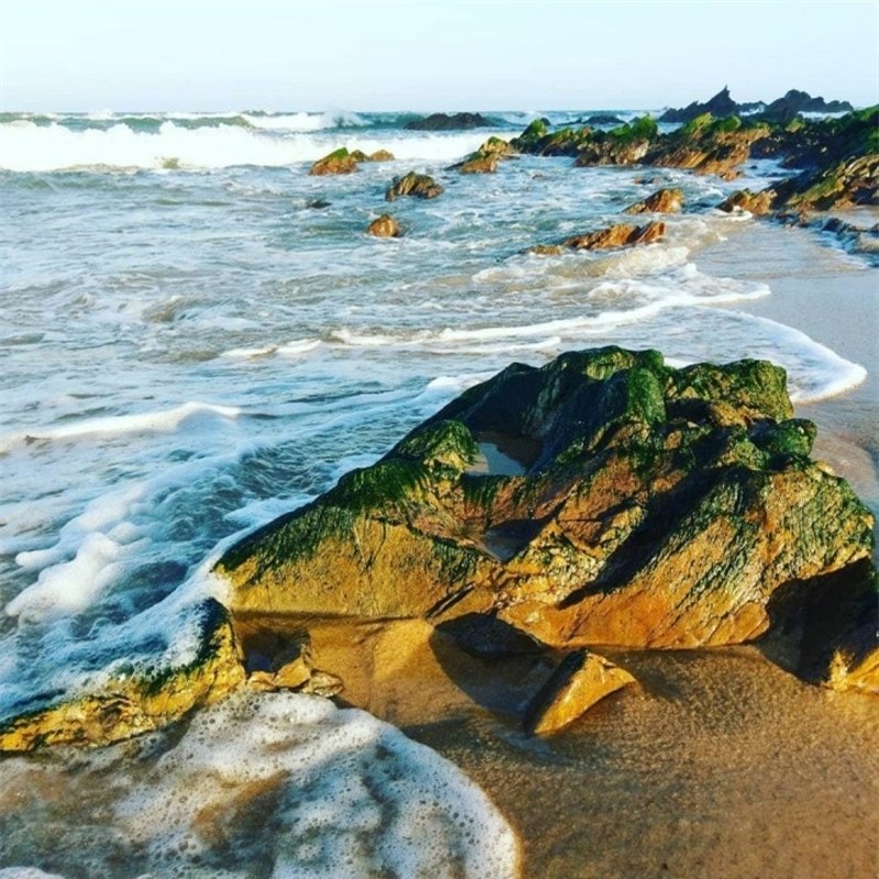 ngam bai bien hoang so day da nhay o quang binh hinh 8