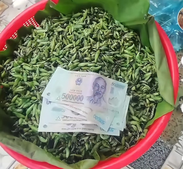 nhong muong tay nguyen dac san tom hum pho nui hinh 4