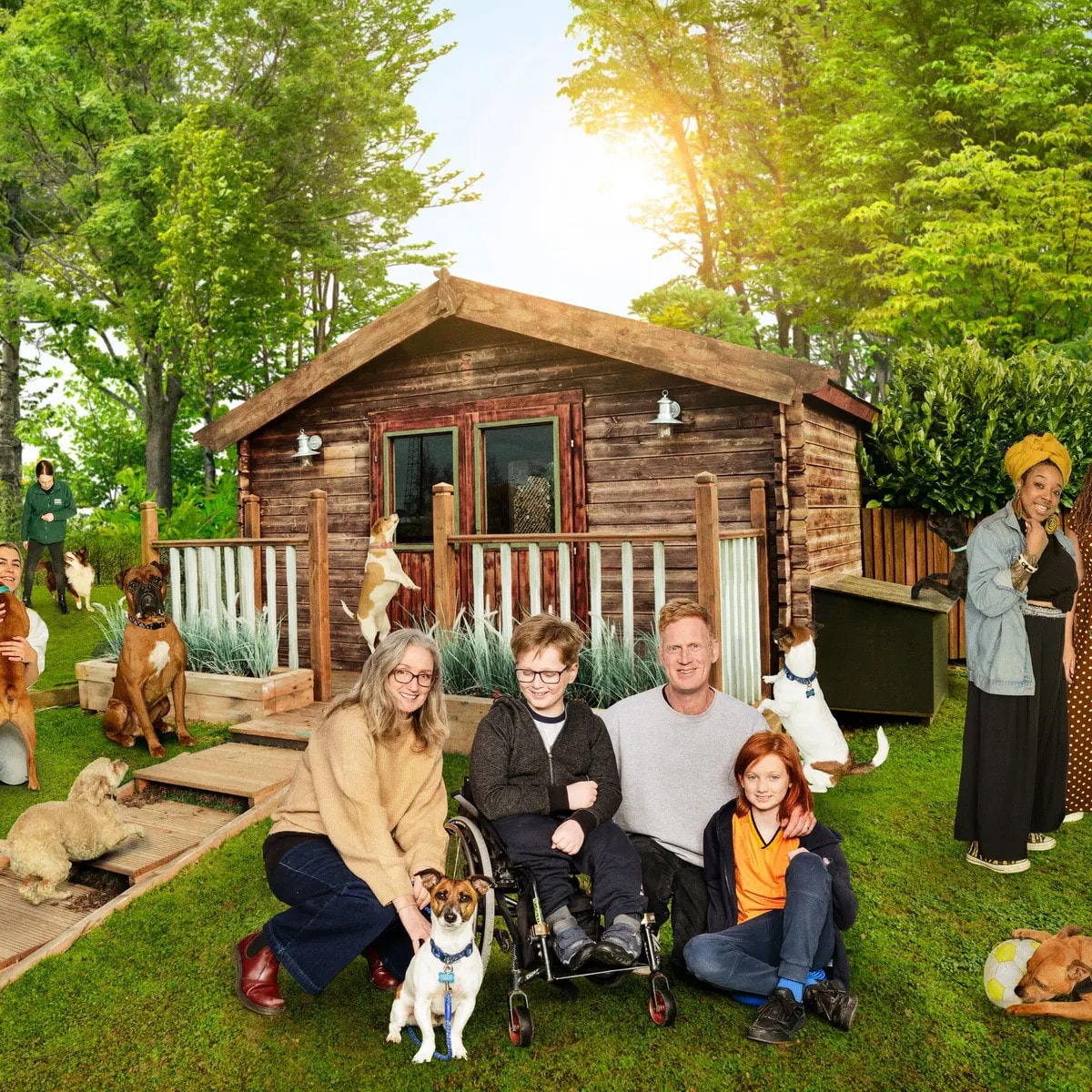 the dog house uk  hanh trinh tim chu ly ky cua chu cun bi bo roi hinh 2