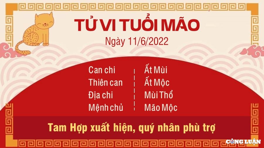 tu vi 11 6 2022 hom nay thu 7 ngay 13 5 am lich cua 12 con giap hinh 4