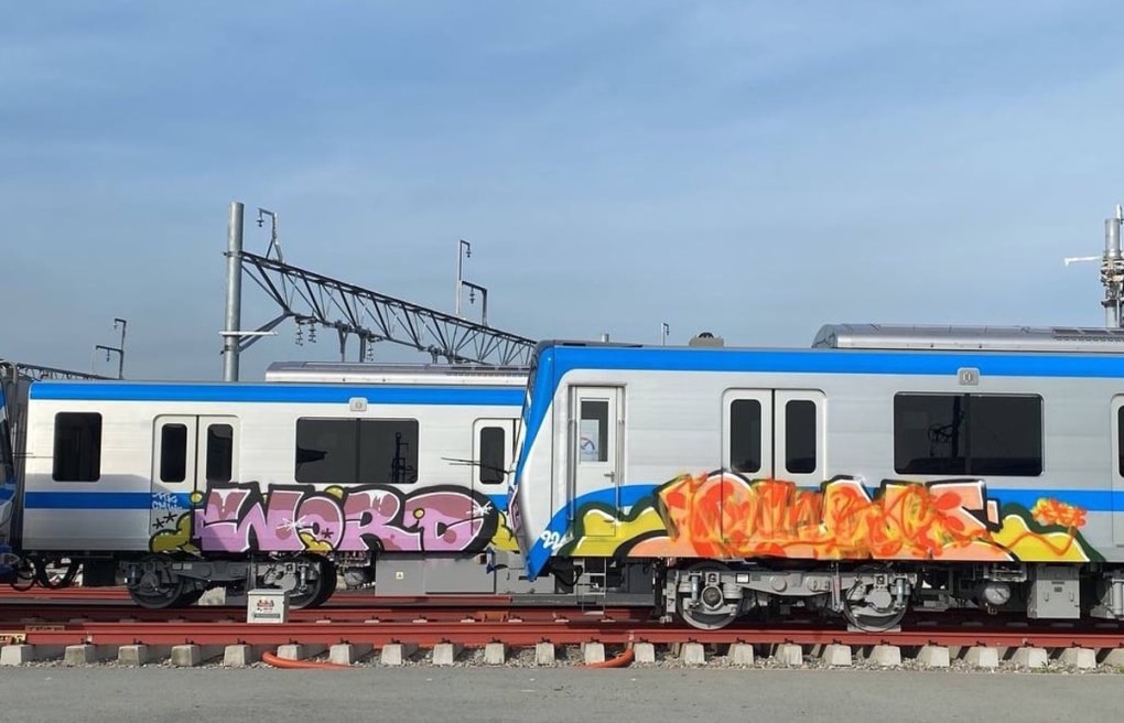 xac minh cac doan tau metro so 1 bi ve bay trong depot long binh hinh 1