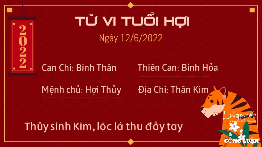 tu vi 12 6 2022 hom nay chu nhat ngay 14 5 am lich cua 12 con giap hinh 12