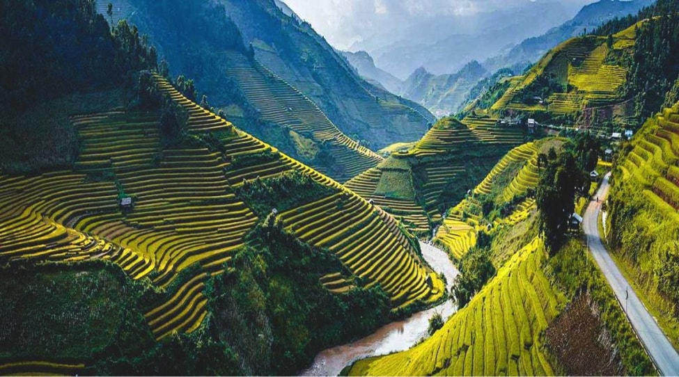 gia luong thuc toan cau tang vot gao se la nong san tiep theo tang gia hinh 1