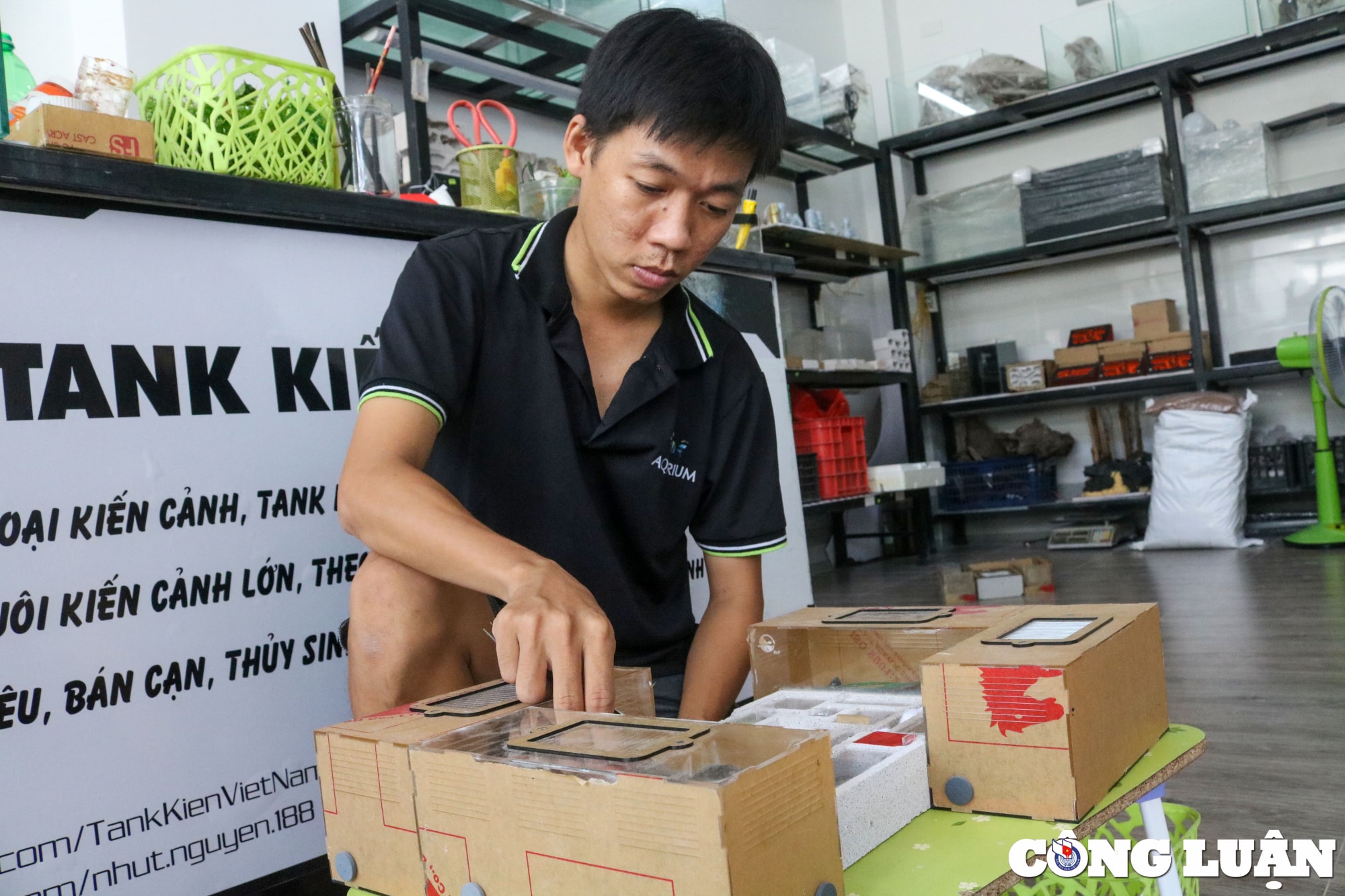thu choi kien vo cung la mat cua chang trai 9x hinh 2