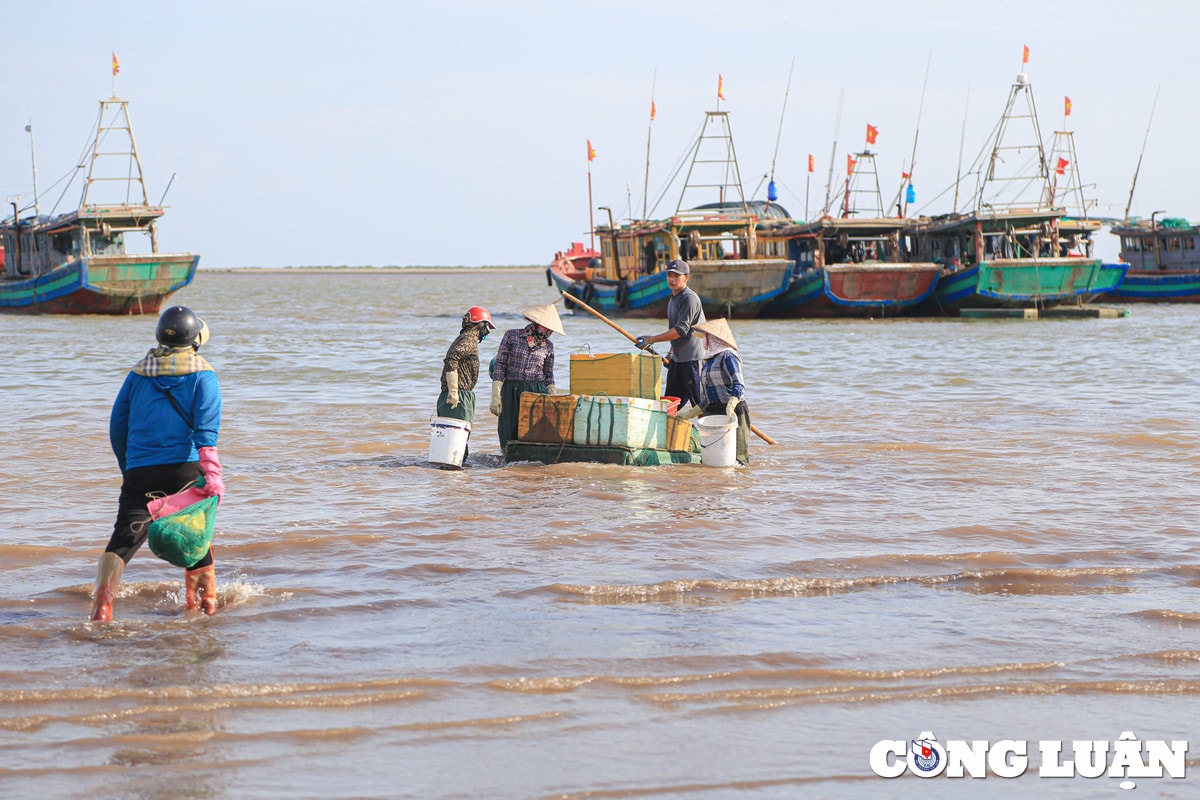 nam dinh tap nap phien cho ca chieu ben giao hai hinh 2