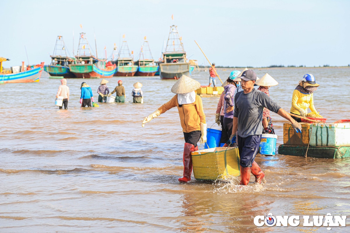nam dinh tap nap phien cho ca chieu ben giao hai hinh 3
