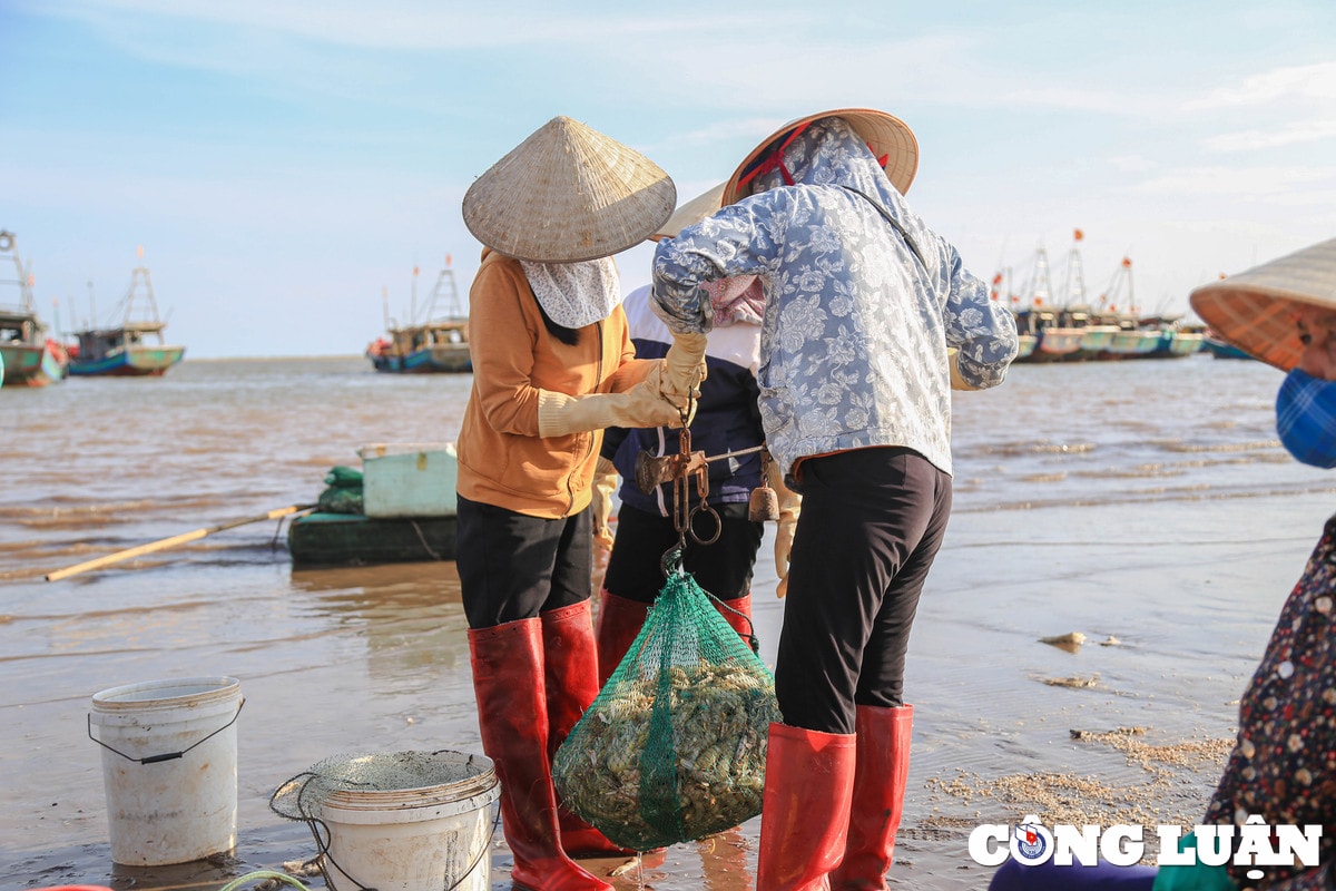 nam dinh tap nap phien cho ca chieu ben giao hai hinh 4