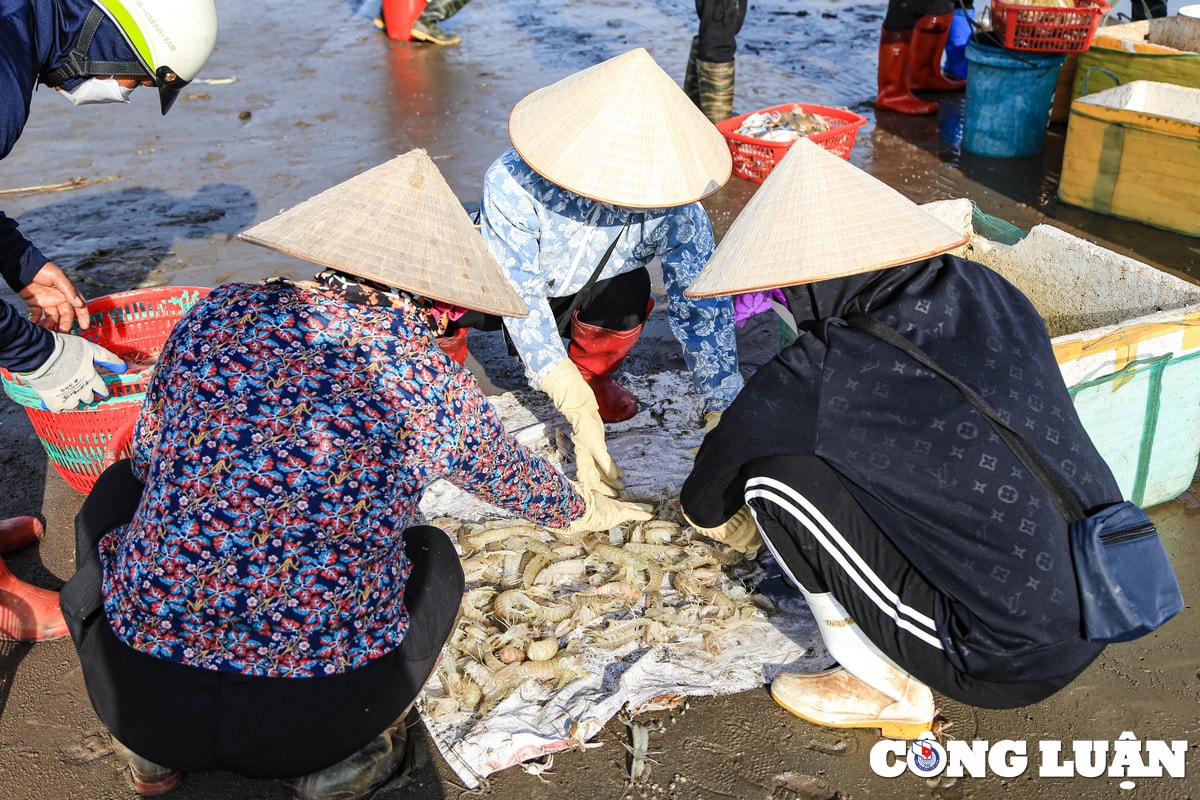nam dinh tap nap phien cho ca chieu ben giao hai hinh 5
