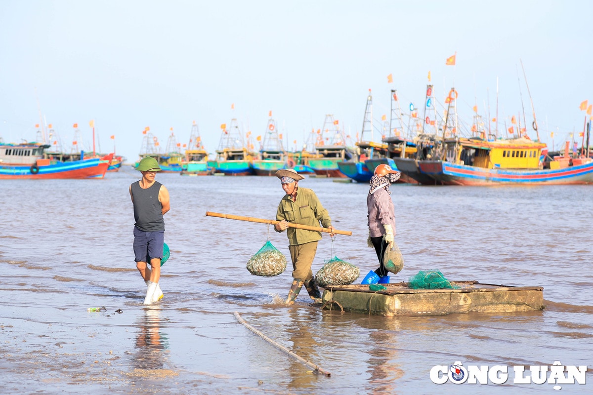 nam dinh tap nap phien cho ca chieu ben giao hai hinh 6
