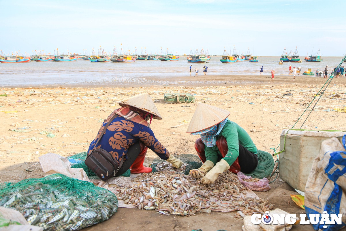nam dinh tap nap phien cho ca chieu ben giao hai hinh 9