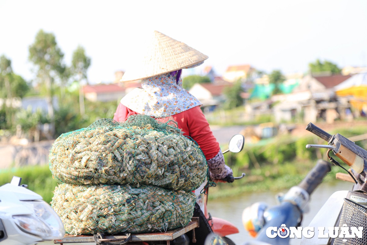 nam dinh tap nap phien cho ca chieu ben giao hai hinh 13