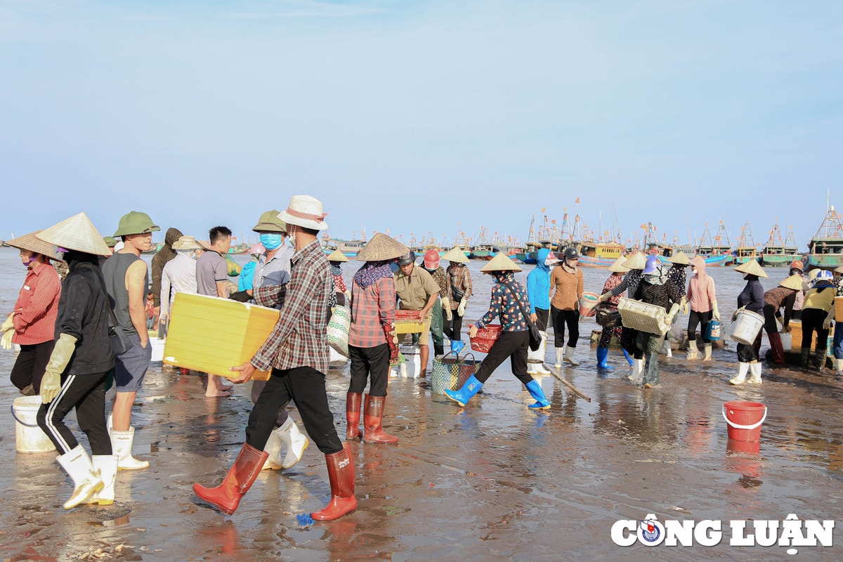nam dinh tap nap phien cho ca chieu ben giao hai hinh 14