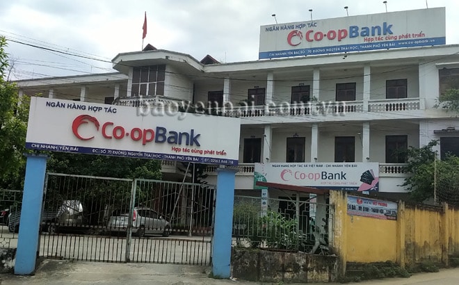 chiem doat tien cua gan 100 khach hang nu can bo ngan hang co opbank bi bat tam giam hinh 1