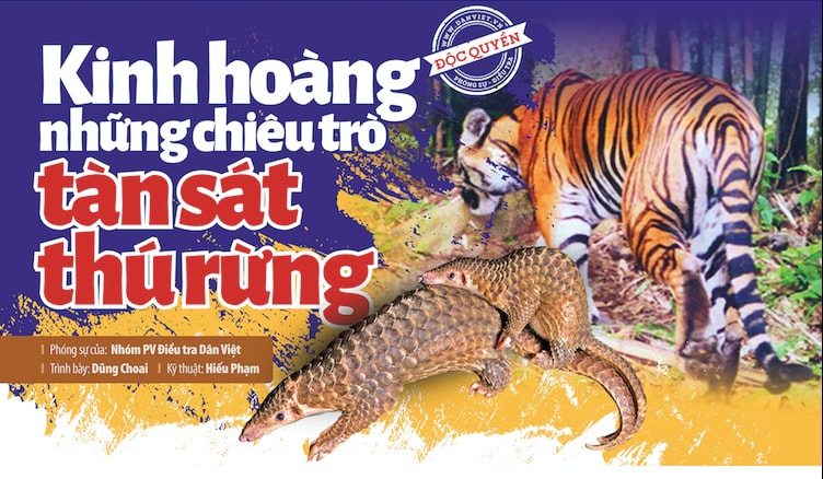 chien dich giai cuu 24 chua son lam hinh 3