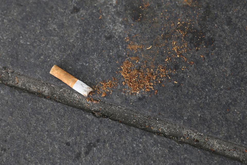 my de xuat han che nong do nicotine trong thuoc la hinh 1