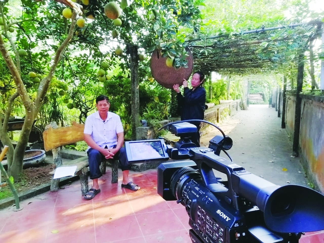 ong ru roi khoi goi cam xuc tu nhung canh quay moc mac gan gui va song dong hinh 1